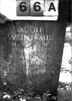 Grabstein 66 (Index: 100102173) Material: Sandstein Zustand: leicht verwittert Maße HxBxT: 106x45x13 cm Beschreibung: Stele, eingezogener giebelartiger Abschluß Symbolik: Davidstern Besonderheit: Doppelgrab: Grabstein 66A