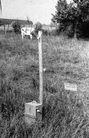 Fotografie: Weidehaltung, Elektrozaun