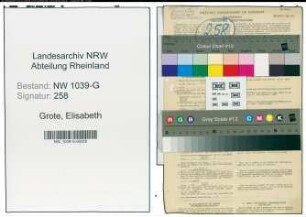 Entnazifizierung Elisabeth Grote , geb. 02.12.1901 (Studienraetin)