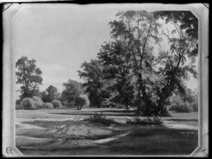 Parklandschaft