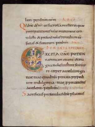 Zierinitiale / Randleisteninitiale mit Rankenbesatz: E(xcita domine)