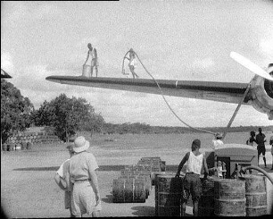 Ein Fabeltier fliegt nach Deutschland