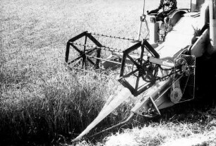 Claas Huckepack beim Mähdrusch von Roggen