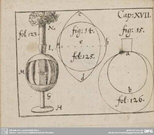 Cap: XVII. foll 123. fig: 14. fol: 125. fig: 15. fol: 126.