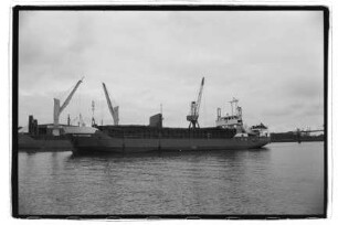 Eric Hammann (1991), Hammann & Prahm, Rostock