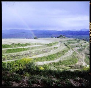 Tuniberg: Blick vom Tuniberg über den Kapellenhügel zum Schwarzwald, mit Regenbogen