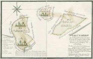 Grundriss über die Churfürstliche Cammeralwald-Districten des Hemsbacher Forstes Pfaltzgrafen Busch und Bannholz Oberamts Ladenburg und Frauenheck Oberamts Lindenfels