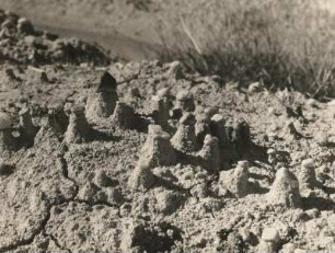 Erosionserscheinungen nach Starkregen. Mini-Erdpyramiden, Lehmgrube bei Kamenz
