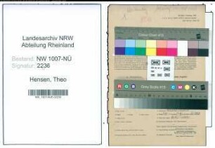 Entnazifizierung Theo Hensen , geb. 14.04.1907 (Landwirt)