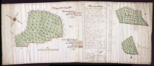 Waldungen Herzigen Stock, Berggarten und Kohlholz (zwischen Bolstern und Kleinsießen) Maßstab ca. 1 : 2500 col. handgez.