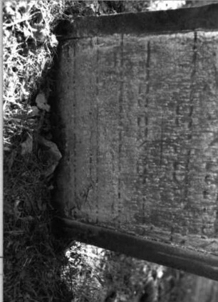 Grabstein 71 (Index: 99796115) Maße HxBxT: 74x56x11 cm Symbolik: vierblättrige Blüte: Grabstein 71 (Detailaufnahme)