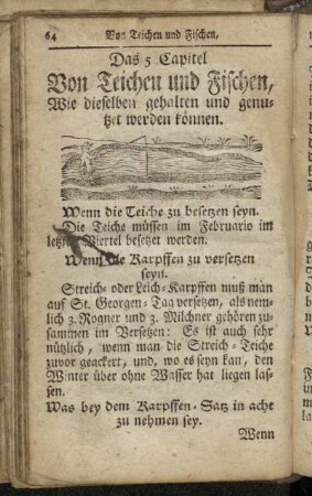 5. Von Teichen und Fischen ...