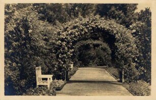 Postkartenalbum mit Motiven von Karlsruhe. "Karlsruhe. Stadtgarten, Rosengarten". Spazierweg im Rosengarten