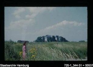 Vierlande, Aussendeichsland