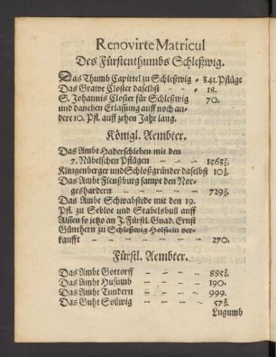 Renovirte Matricul Des Fürstenthumbs Schleßwig.