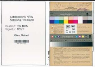 Entnazifizierung Robert Gies , geb. 07.04.1891 (Kaufmann)
