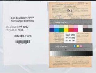 Entnazifizierung Hans Ostwaldt, geb. 16.02.1905 (Bankangest.)