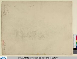 Ochsen ziehen einen Heuwagen
