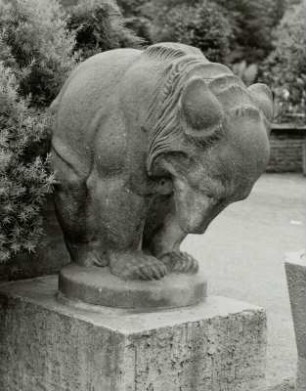 Bär
