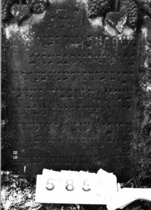 Grabstein 585 (Index: 99753080) Material: Sandstein Zustand: leicht verwittert Maße HxBxT: 160x101x18 cm Beschreibung: Stele, geschwungen eingezog. Rundbogenabschl. , Schriftfeld eingetieft Symbolik: Pinienzapfen, Ranken, Muscheln, Voluten, Schriftband Besonderheit: Zitat angelehnt an Deuteronomium 34, 5: Grabstein 585B
