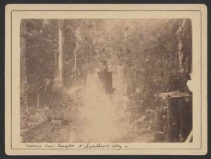 [156]: Yaxchilán V : Keramik, Statuen, Steine und Aufnahmen Dritter / Chiapas