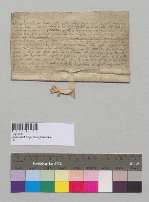 Bischof Leo von Regensburg überträgt eine heimgefallene Hube in der villa Partschins (Partschindes), in welcher Heinrich To{e}ler wohnt, an dessen Sohn zu den üblichen Bedingungen. S: Bischof Leo v. Regensburg