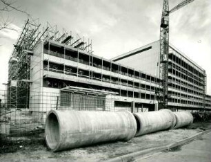 Firma Knoll, 1968