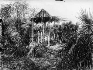 Pfahlbau (Deutsch-Ostafrikaexpedition 1906-1907)