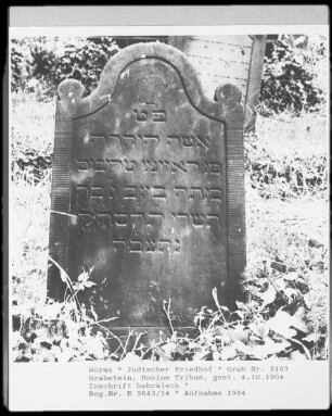 Grabstein von Rosine Tribus (gestorben 1904.10.04)