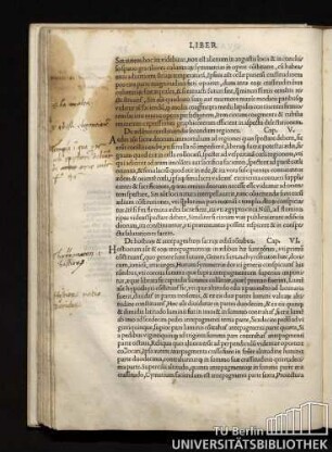 De hostio[rum] & antepagme[n]to[rum] sacra[rum] aediu[m] r[ati]onibus. Cap. VI.