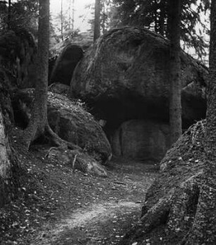 Partie im Fichtelgebirge