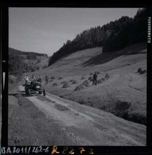 Heuen im Schwarzwald