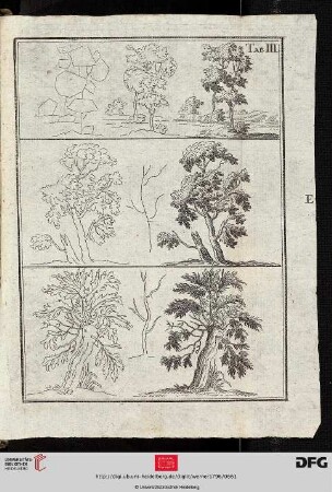 Tab. III [Bäume (Schemata-Kontur-Schraffur)]
