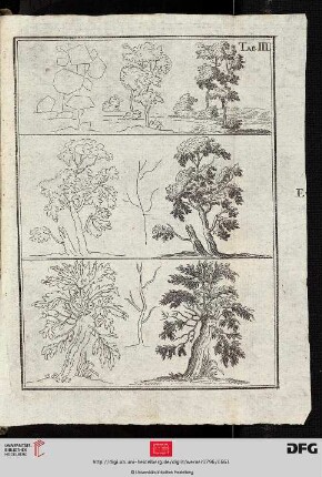 Tab. III [Bäume (Schemata-Kontur-Schraffur)]