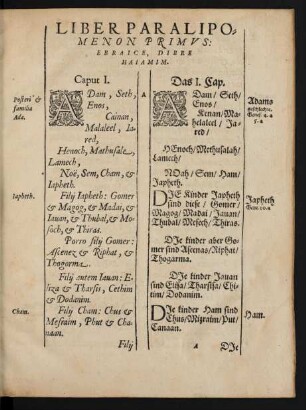 Liber Paralipomenon Primus: Ebraice, Dibre Haiamim.