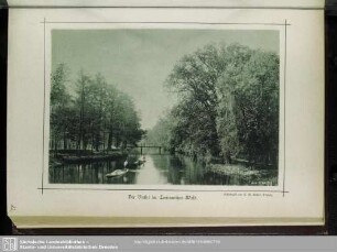 Der Brühl im Connewitzer Wald