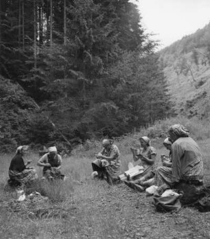 Waldarbeiterinnen im Pfälzer Wald