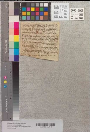2 Urkundenabschriften, in welchen Gottfried von Minden Eigenhörige an den Ritter Wulfard dictus Wedberghe (v. Wettbergen) sowie den Knappen Hartmann dictus Kritere verpfändet, namentlich solche in den Kirchspielen Yensen (Jeinsen, Amt Calenberg, Fstm. Calenberg) und Runneberghe (Ronnenberg, Amt Calenberg, Fstm. Calenberg).