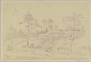 Die Dresdner Heide am Saugarten