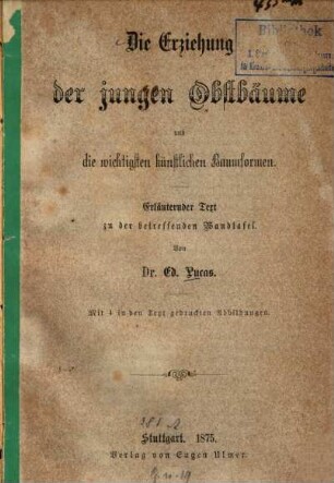 Die Erziehung der jungen Obstbäume und die wichtigsten künstlichen Baumformen