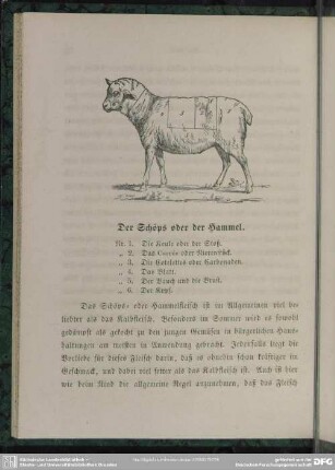 Der Schöps oder der Hammel