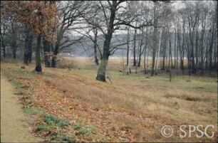 Potsdam, Park Sacrow, Östlich der Römischen Bank.