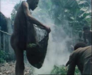 Schweineopfer bei den Nalumin (Papua-Neuguinea)