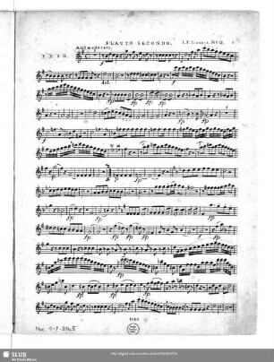 Flauto secondo