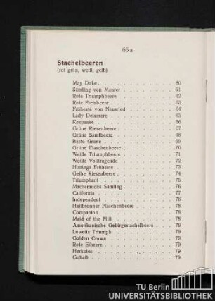 Stachelbeeren (rot, grün, weiß, gelb). Johannisbeeren.