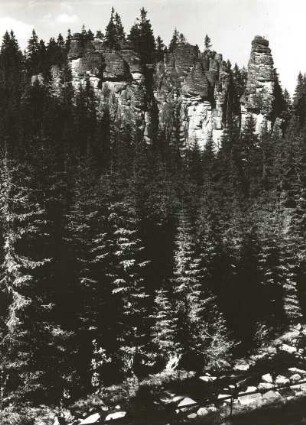 Westerzgebirge. Teufelsstein im Steinbach-Tal nordwestlich Johanngeorgenstadt. Granitklippen