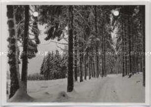Winterlandschaft, Harz