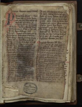 Themata novorum sermonum