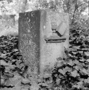 Innerer Plauener Friedhof, Altplauen