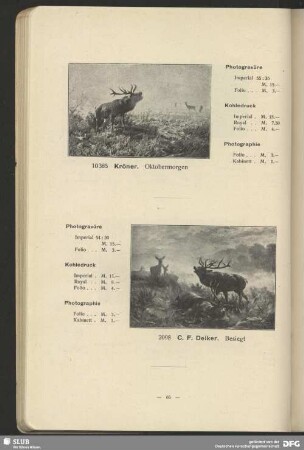 Jagd, Sport und Tiere